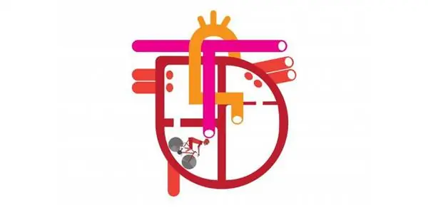 Тренировка сердечного ритма: действуйте в ритме