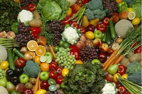Продукты, богатые витаминами В каких продуктах больше всего витаминов?
