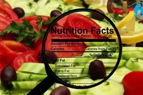 Water Fit-Hit Water: 8 интересных фактов