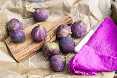 Приготовление инжира со сладкими фруктами