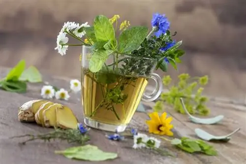 чай