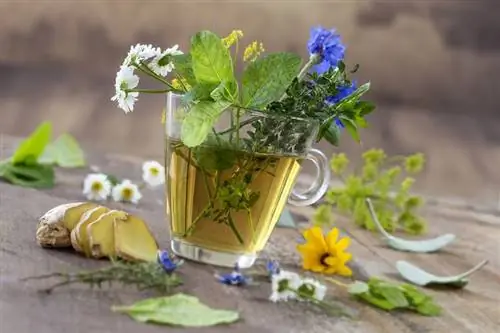 Чай Вкусные чаи, которые можно приготовить самостоятельно
