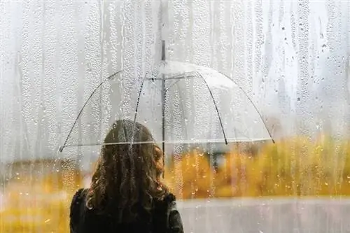 Холодный воздух способствует распространению коронавируса?