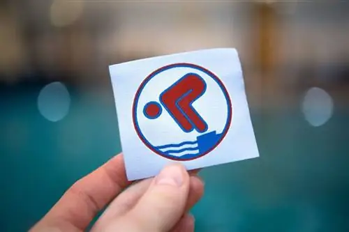 Начало купального сезона: когда вы безопасно плаваете?