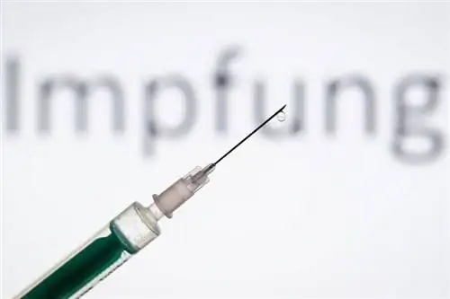 Разработка вакцины против коронавируса: идут первые клинические испытания