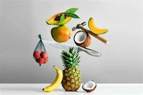 Экзотические фрукты Экзотические фрукты