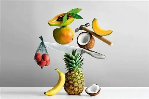 Экзотические фрукты Твердая скорлупа, сладкая сердцевина