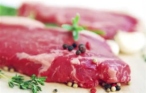 маркировка пищевых продуктов маркировка пищевых продуктов