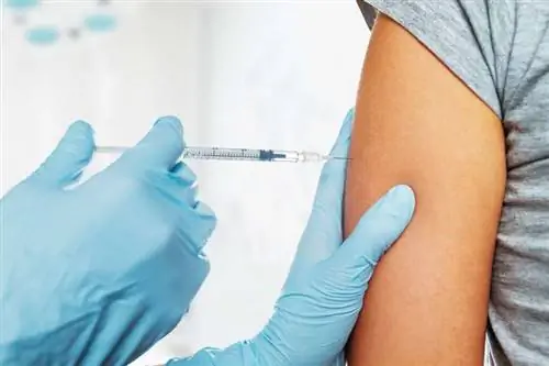 Вакцинация инъекцией в предплечье Вакцинация инъекцией в предплечье