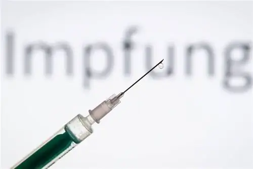 Коронавирус: начинается еще одно исследование вакцинации с участием до 30 000 человек