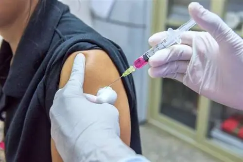 вакцинация вакцинация