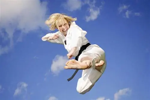 боевые искусства