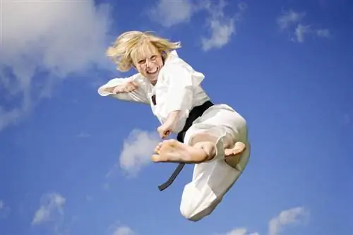 Боевые искусства Какое боевое искусство тебе подходит?