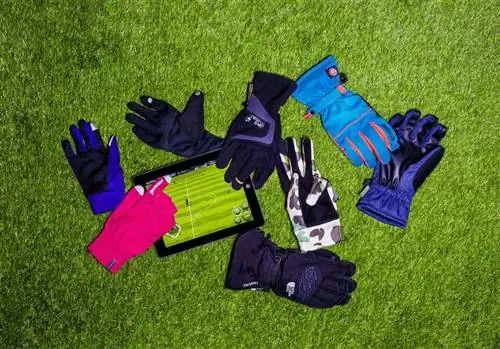 "Изображение на тему перчатки для сенсорного экрана, перчатки для сенсорного экрана