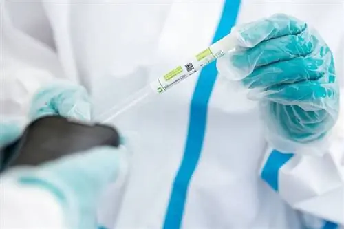 Вирус короны в Германии: никаких признаков расслабления