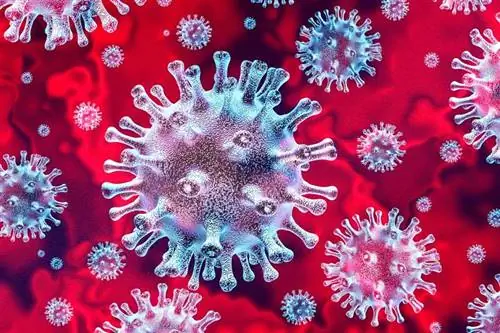 Графика вируса короны