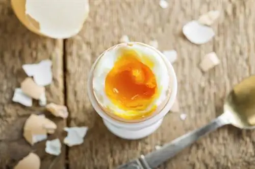 Вареное яйцо в яичной чашке