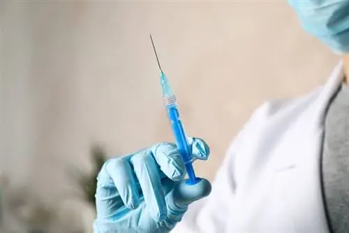 Вакцина против коронавируса: Biontech теперь также тестирует кандидатов в Германии