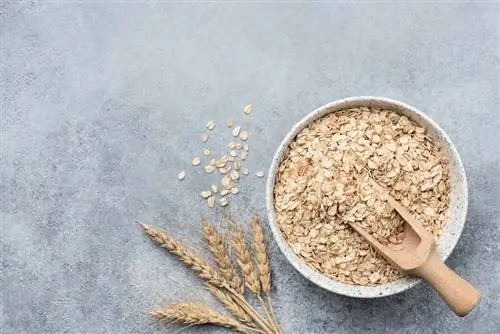Овсянка в миске