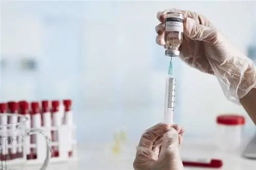Шприц с коронной вакциной Шприц с коронной вакциной