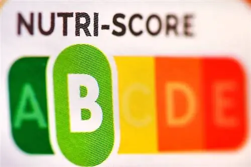 Светофор для продуктов питания: самые важные вопросы и ответы о Nutri-Score