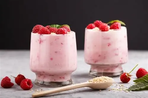 Эрманн вспоминает Almighurt: металлические детали в популярном йогурте