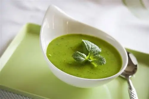 Веганская кухня Вкусные идеи веганского обеда