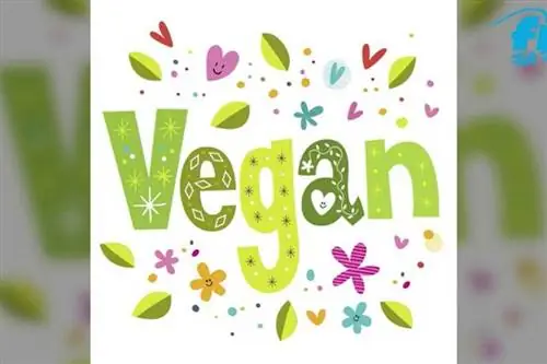 Веганские продукты Все веганское – все полезное?