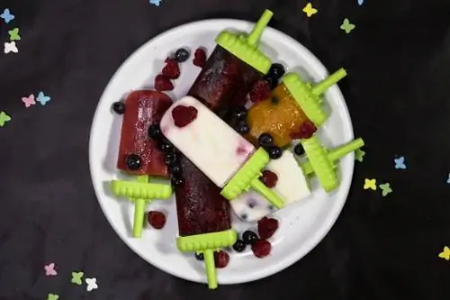 Фруктовое мороженое Prosecco Игристое веселье на лето