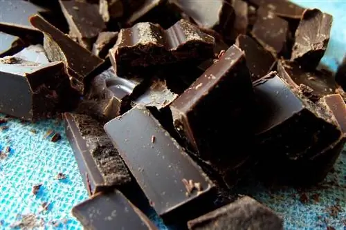 Шоколад без лактозы Небесное шоколадное наслаждение для всех