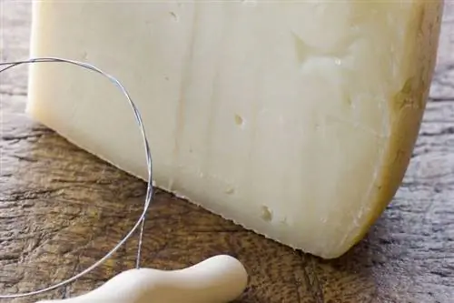 Пекорино Сыр долгожителей