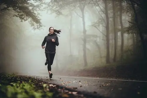 Здоровье: какие прививки важны для спортсменов?