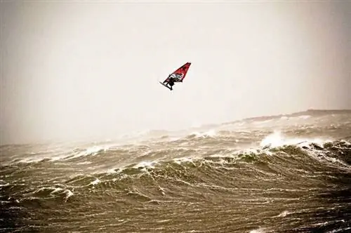 виндсерфинг