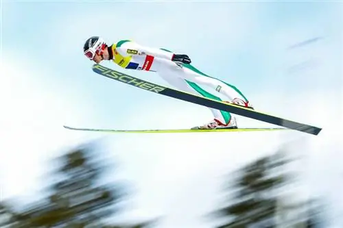 Очень популярны зимние виды спорта – биатлон и прыжки с трамплина