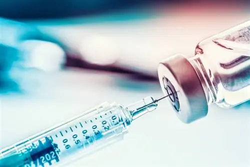 Вакцина в перспективе: самые важные вопросы и ответы о вакцинации против коронавируса