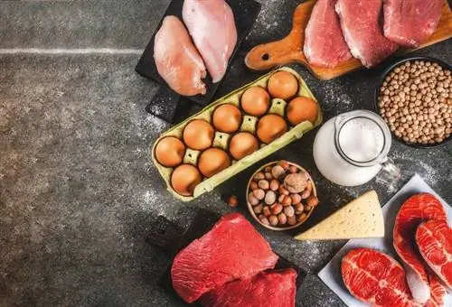 продукты, содержащие витамин В12 продукты, содержащие витамин В12