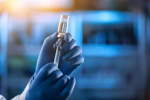 Руки со шприцем и вакциной Руки со шприцем и вакциной