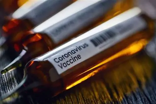 дозы вакцины дозы вакцины