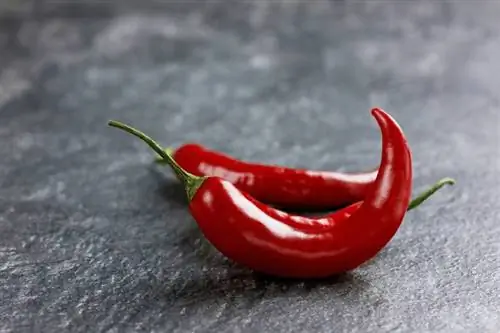 Чили для похудения со здоровым жаром