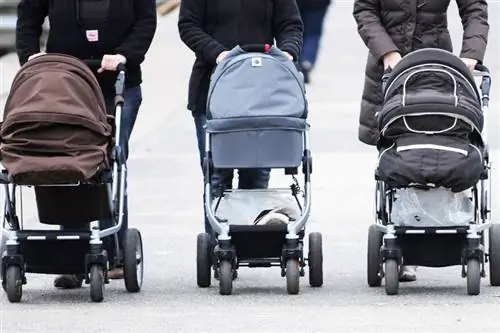 Нет коронного бэби-бума: по данным статистиков, число рождений немного снижается