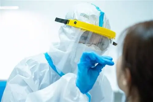 Второе по величине значение: RKI сообщает о почти 700 смертях от короны