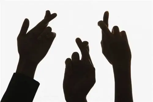 Говорить правду Являются ли ранние пташки более искренними?