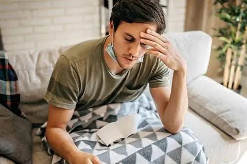 Блокировка до Пасхи? Эксперт объясняет, почему количество корон не уменьшается