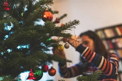 Стресс под елкой: вот почему мы так часто ссоримся на Рождество