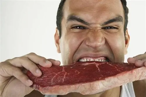 Fitmacher Beef Белково-цинковая бомба: говядина