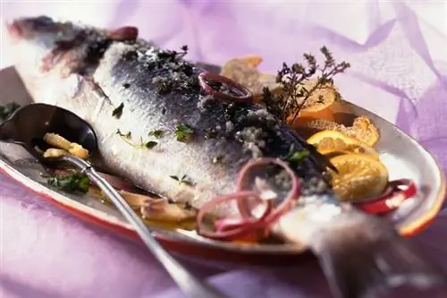 Морской окунь Довольно жирный