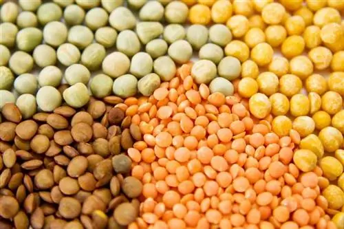 Вот как долго нут и другие продукты остаются вкусными при правильном хранении