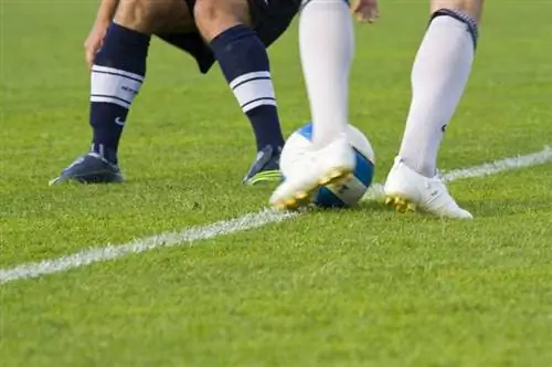 футбол, чемпионат мира, викторина, догадка, тест, знание