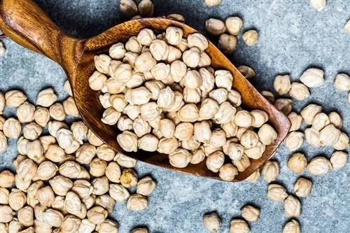 ÖKO-TEST: глифосат обнаружен в шести сортах нута