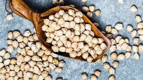 Нут в тесте: шесть продуктов содержат глифосат